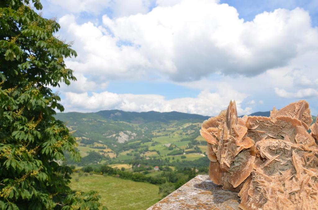 B&B La Terrazza Del Subasio Ассизи Экстерьер фото
